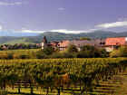 0289_Alsace.jpg (593843 Byte)