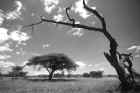 Samburu-NP-1.jpg (235520 Byte)