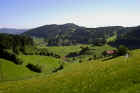 w_0701_Schwarzwald.jpg (389288 Byte)